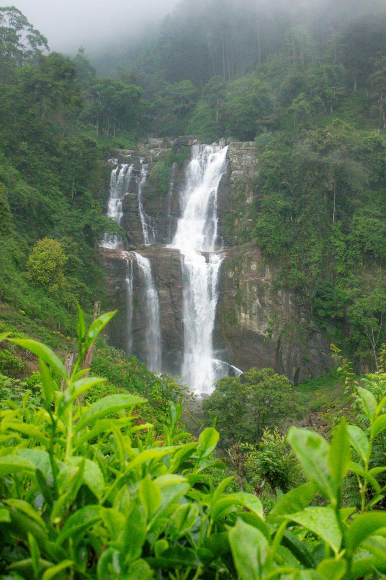 Ramboda Falls Plc Extérieur photo